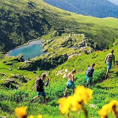 In Alps Near Slope