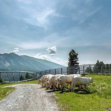 In Alps Near Slope Hotel