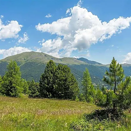 In Alps Near Slope Predlitz-Turrach